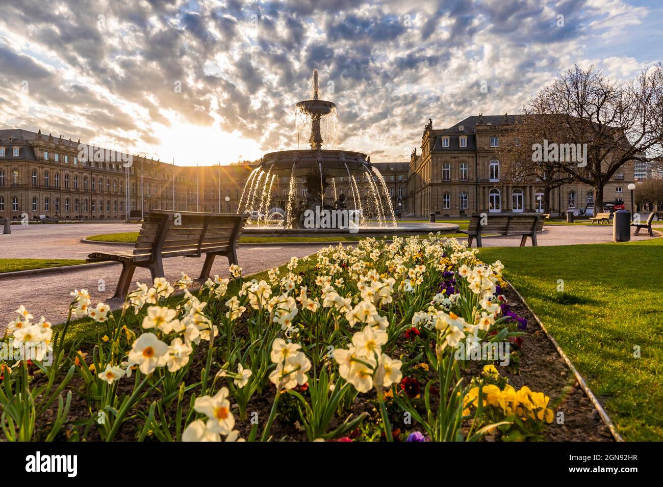 Germany, Baden-Wurttemberg, Stuttgart, Flowerbed at Schlossplatz square during sunrise with fountain in background Stock Photo