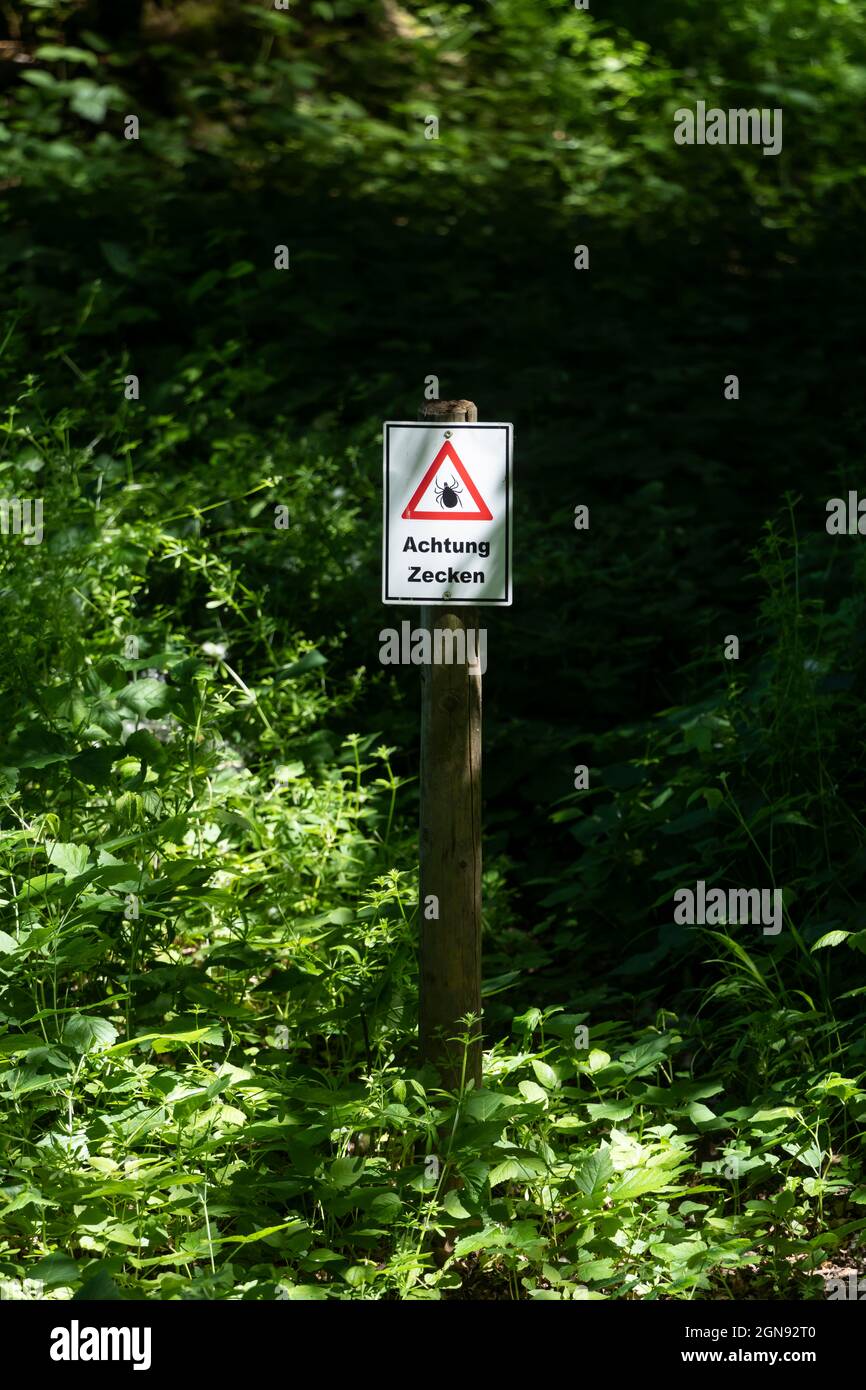 Signboard pole in forest on warning of ticks on a sunny day Stock Photo