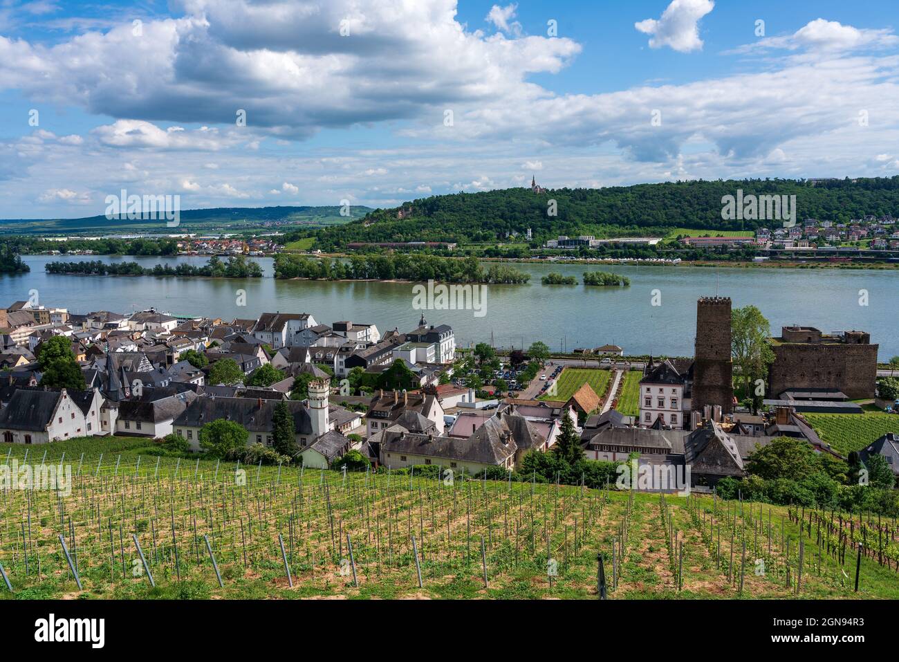 Panoramic view of Ruedesheim am Rhein in Germany. Stock Photo