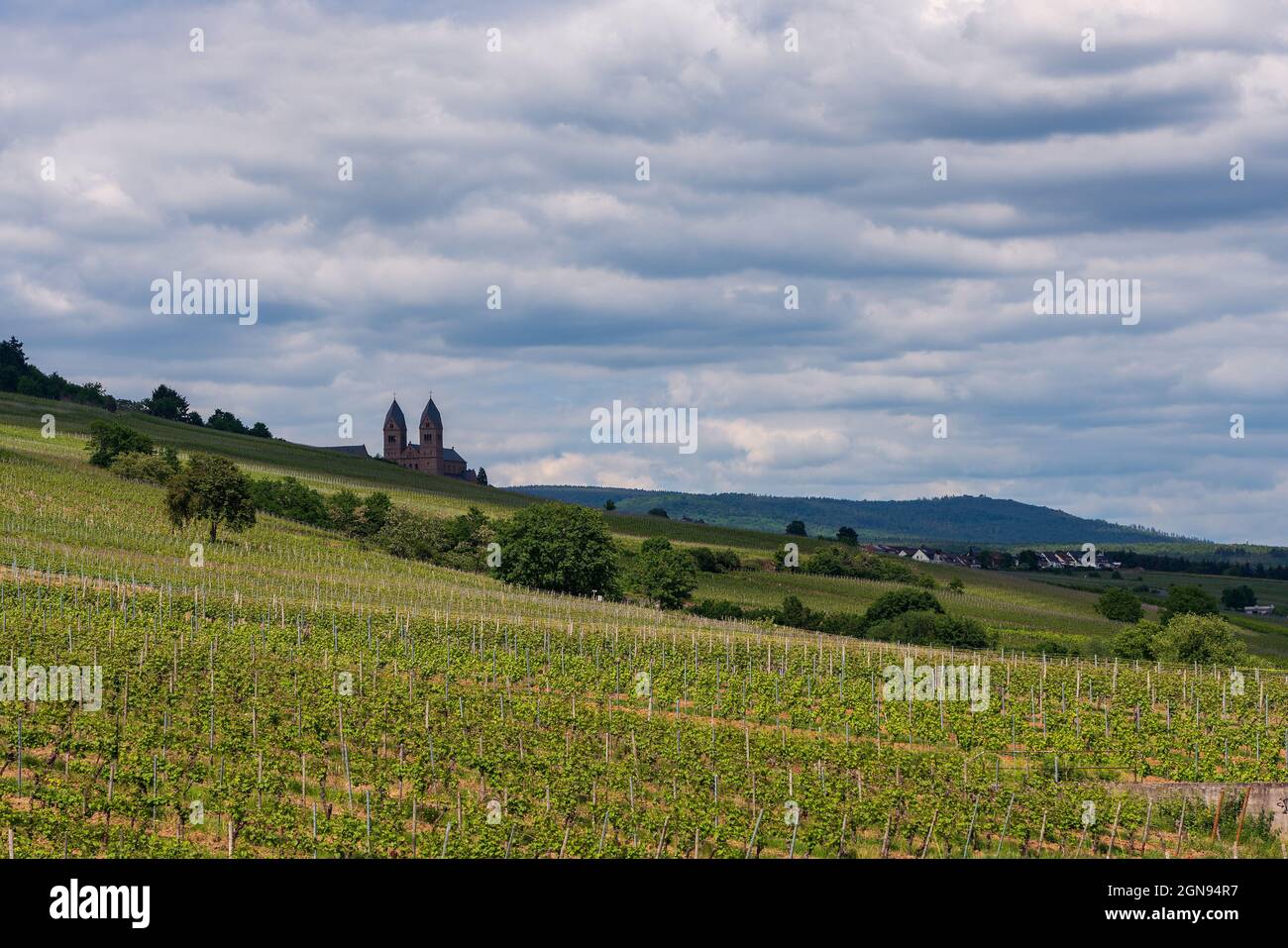 Panoramic view of the St. Hildegard Abbey near Ruedesheim am Rhein in Germany. Stock Photo