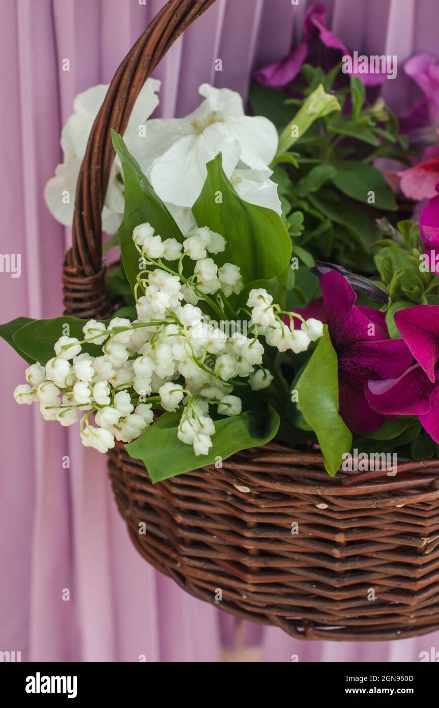 Straw basket with lilies of the valley and petunias. Stock Photo