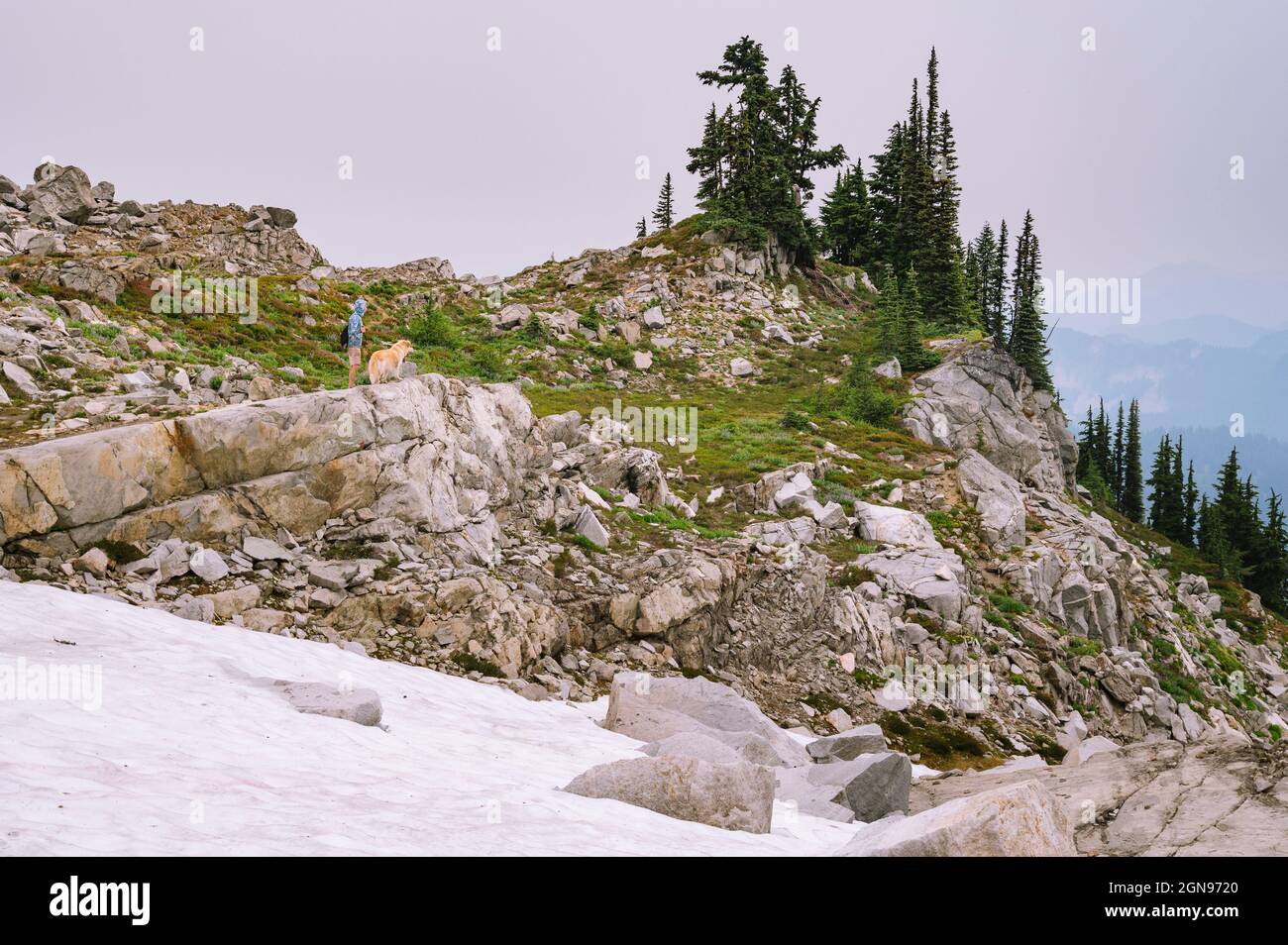 Alpine In Ridge Line Male Hiker and dog standing on an alpine ridgeline Stock Photo - Alamy