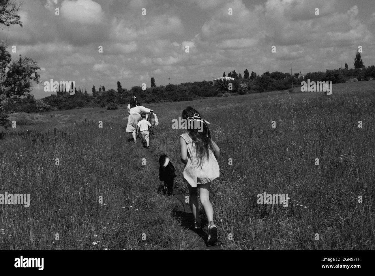Country road along which children and a dog run Stock Photo Alamy