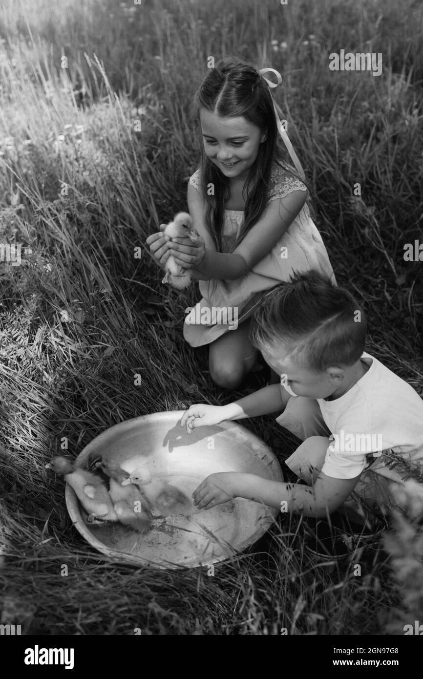 Toddler boy and girl play with the ducklings at the farm Stock Photo