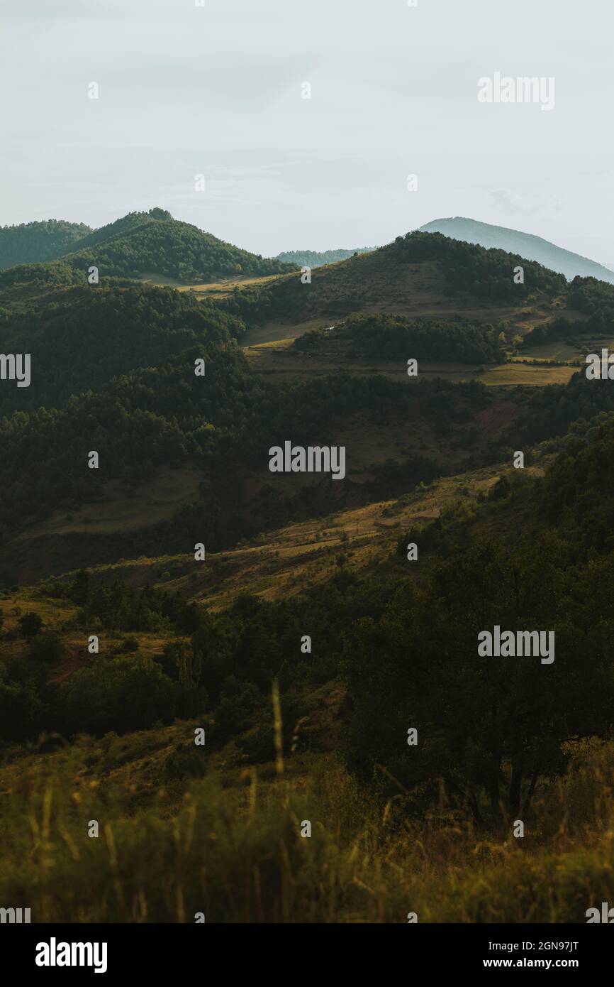 View of forested landscape in Pyrenees Stock Photo