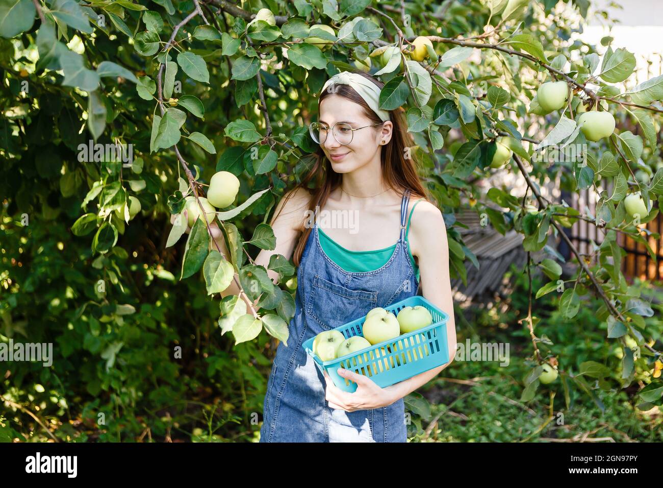 Hand gripping apple hi-res stock photography and images - Alamy