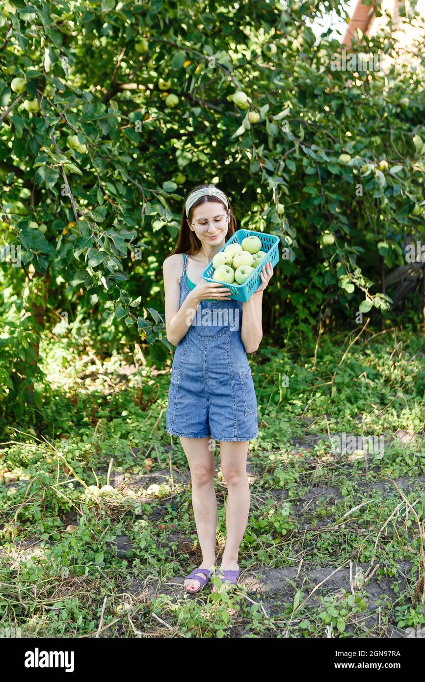 young woman holding a basket of apples in the garden Stock Photo