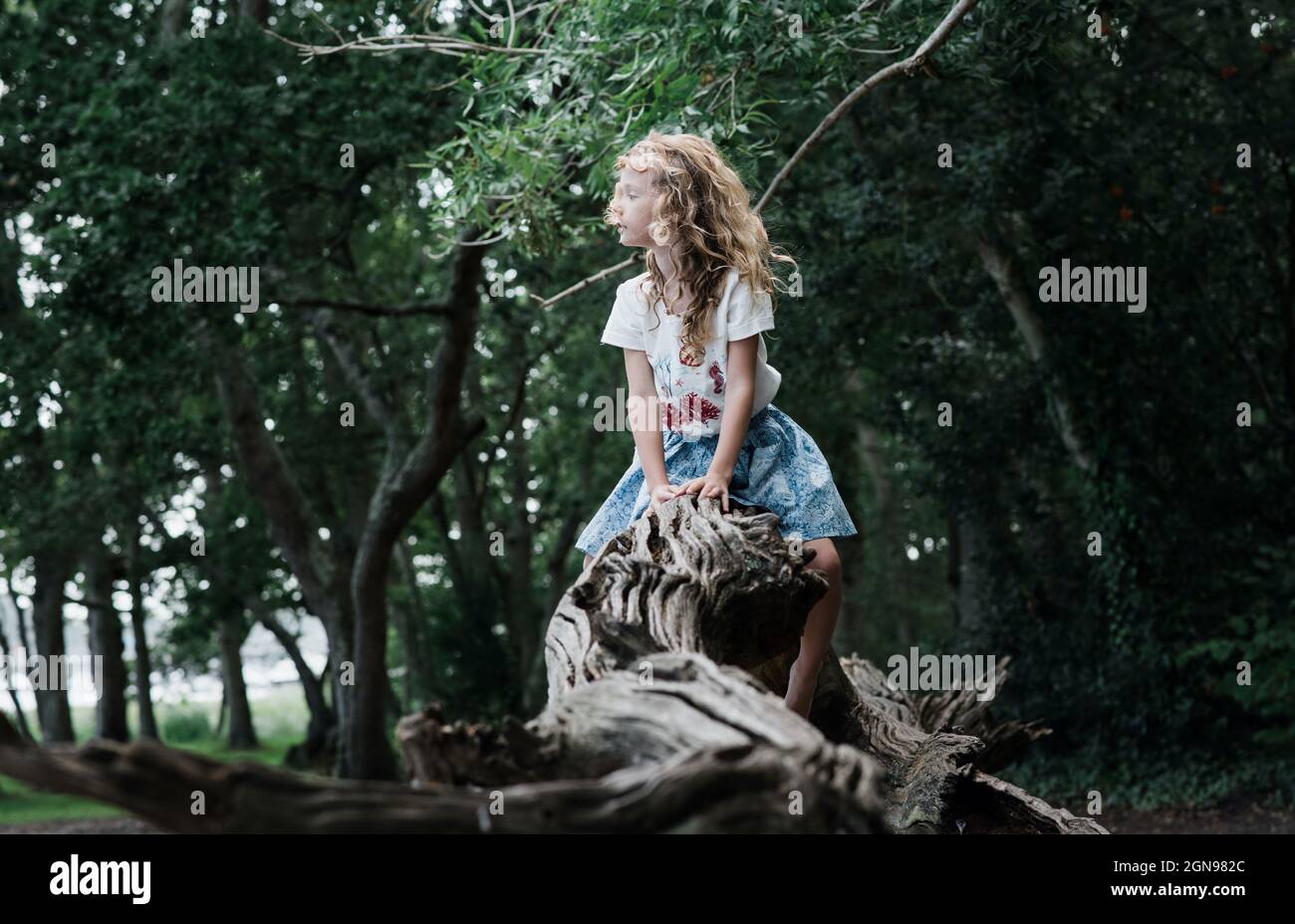 girl sat on a fallen tree barefoot enjoying nature in the forest Stock Photo