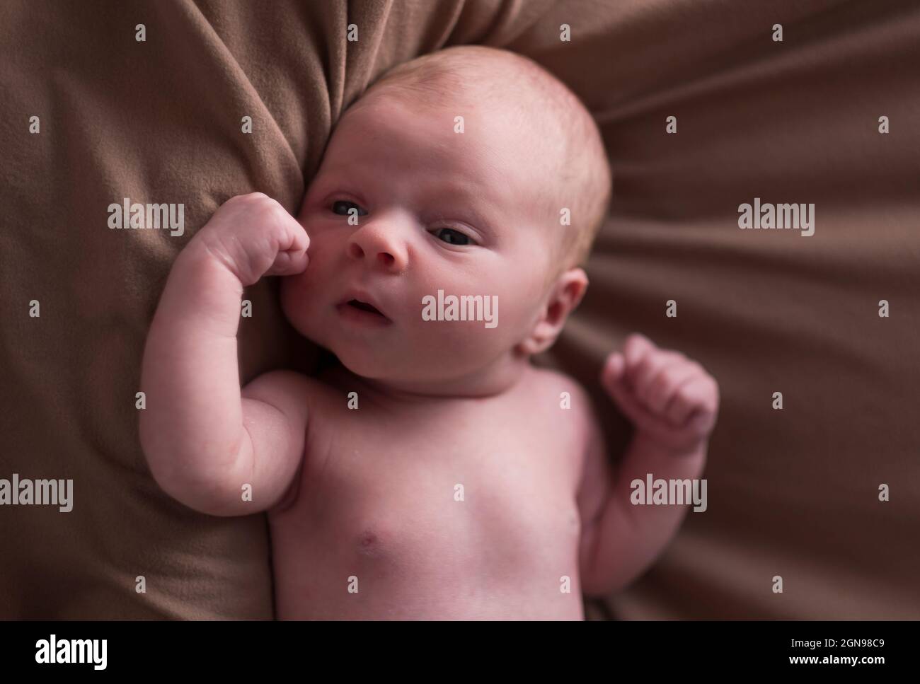 Baby boy posing for his first portrait Stock Photo