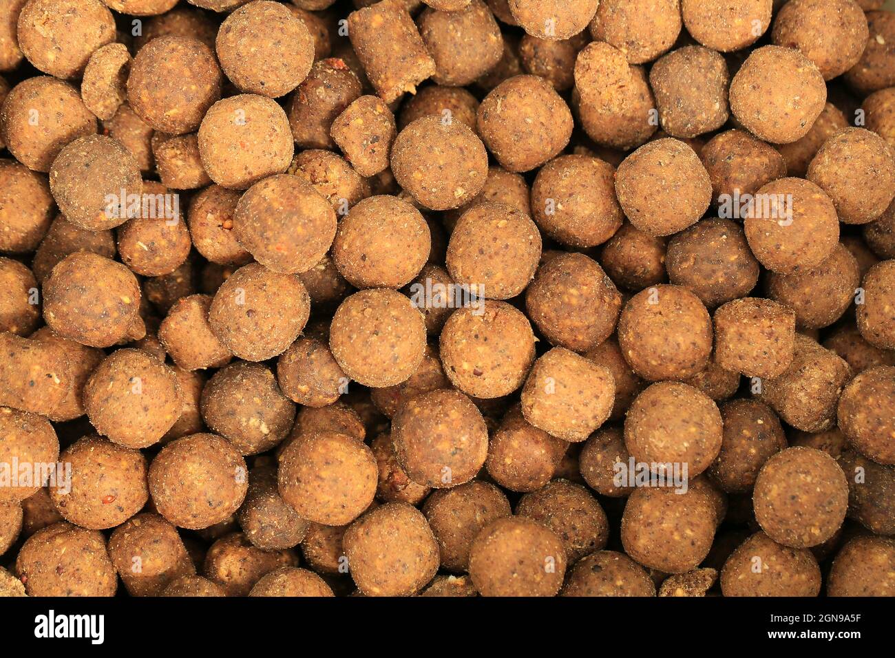 Protein protein ball for big carp, these fish like to eat Stock Photo -  Alamy