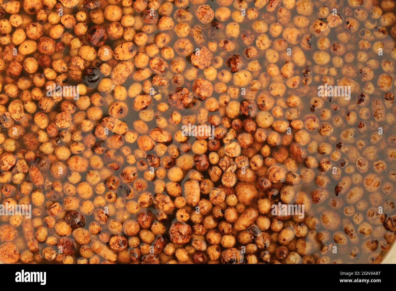 Tiger nuts floating in a sugar pickle for carp Stock Photo - Alamy