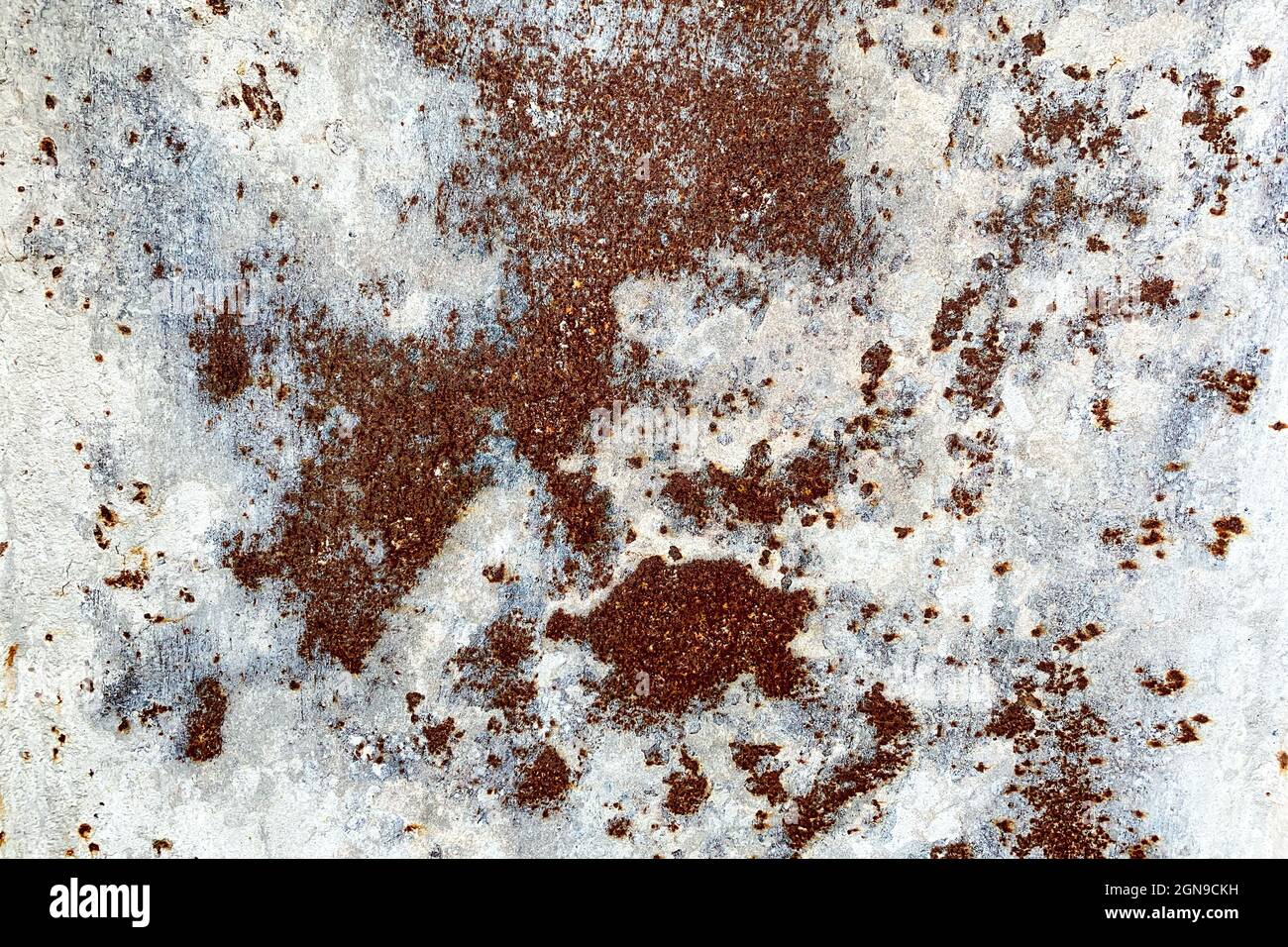 Damaged old peeling paint white background rusty metal flat pallet. Cracked oil paint on aged metal surface. Close-up. Outdoors. Stock Photo
