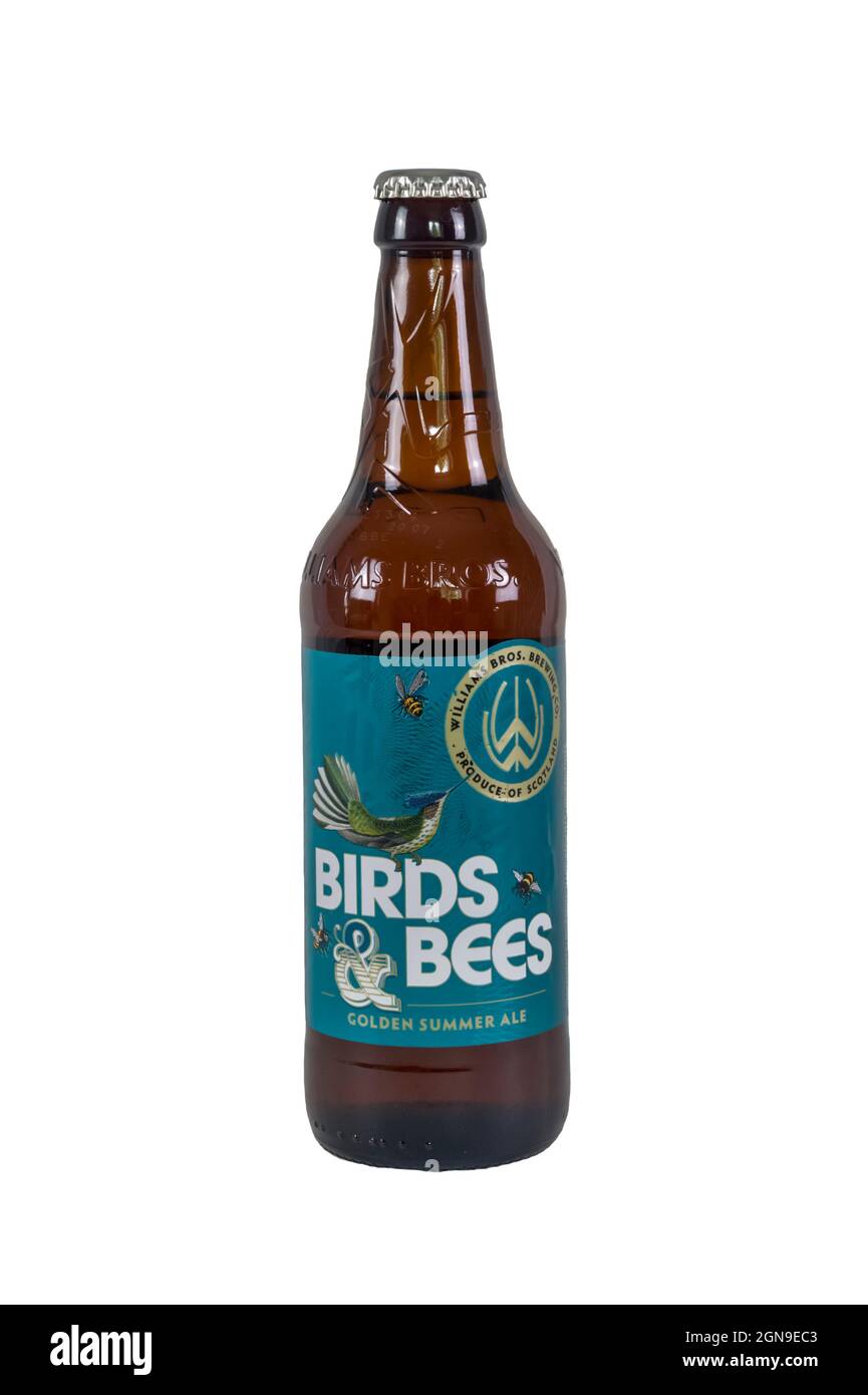 A bottle of Birds & Bees golden summer ale from the Williams Bros Brewing Co.  It has a strength of 4.3%. Stock Photo