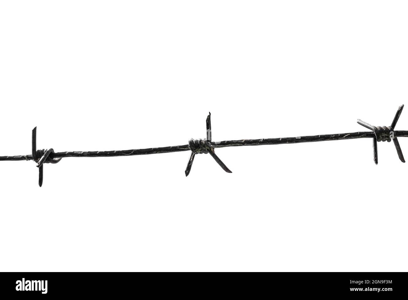 barbed wire isolated on a white background. imprisonment and prison ...