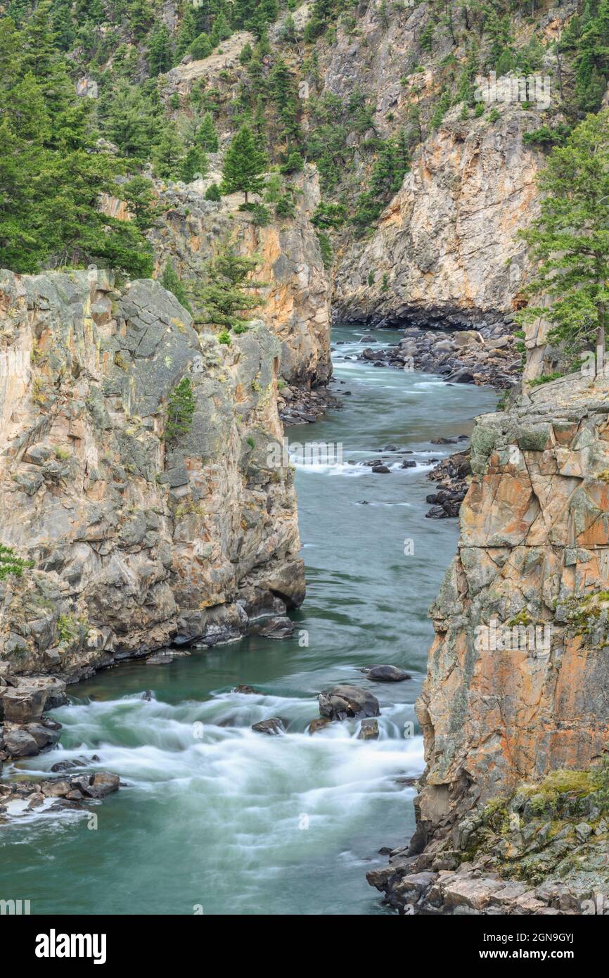 black canyon of the yellowstone river in yellowstone national park near