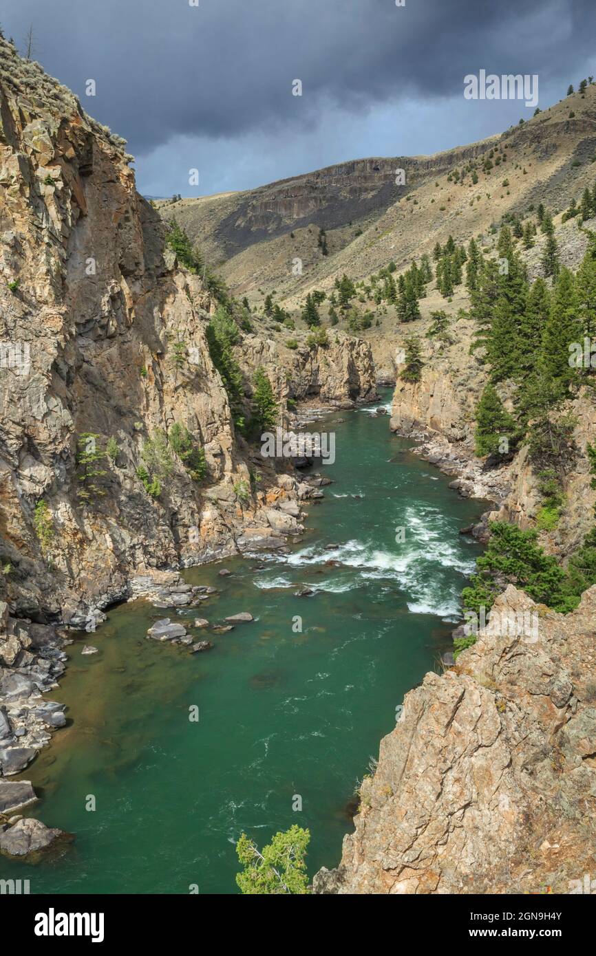 black canyon of the yellowstone river in yellowstone national park near