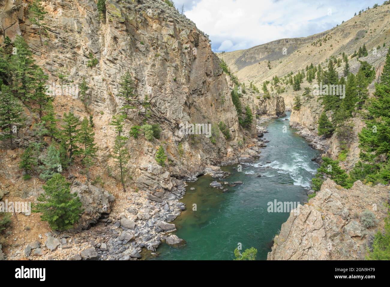 black canyon of the yellowstone river in yellowstone national park near