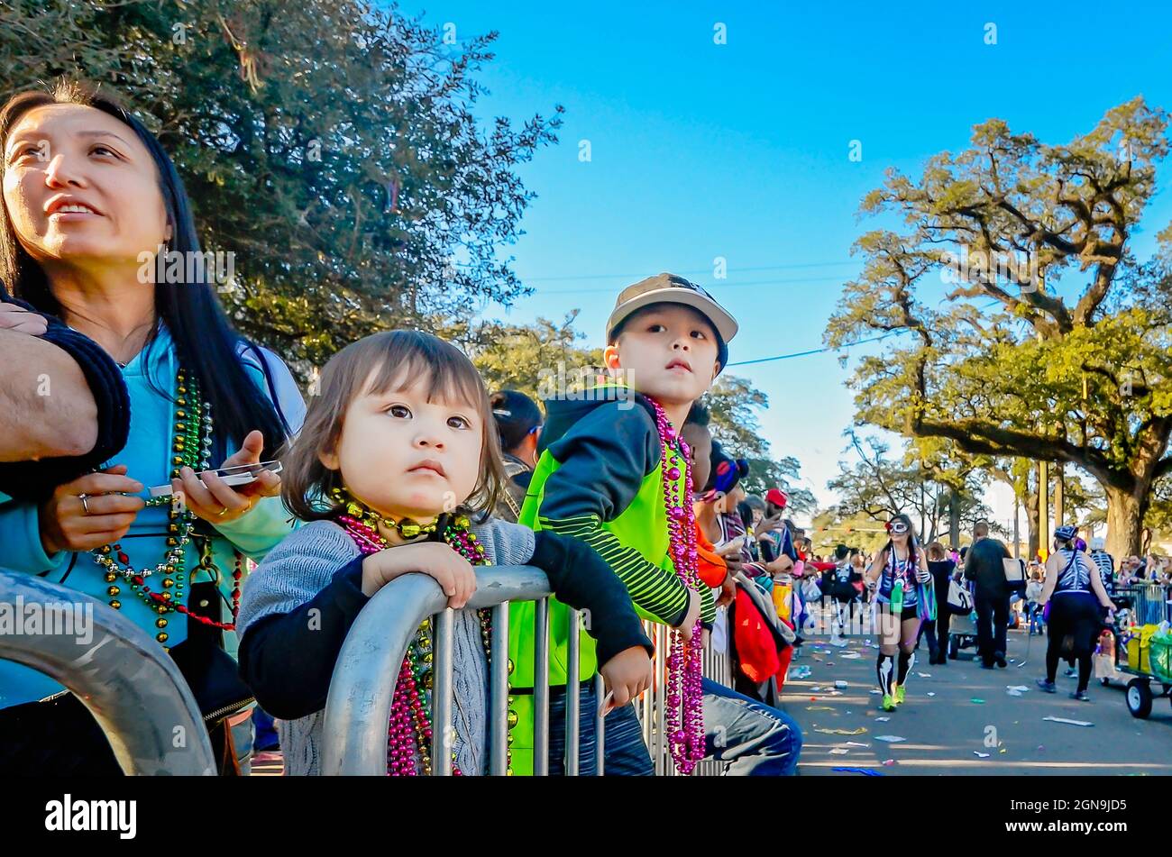 huntsville alabama mardi gras parade