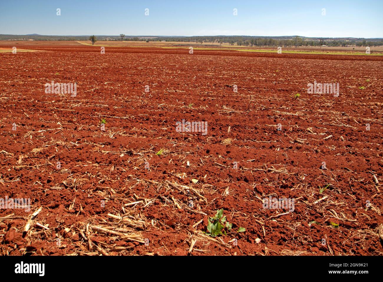 Red soil near Kingaroy Stock Photo Alamy