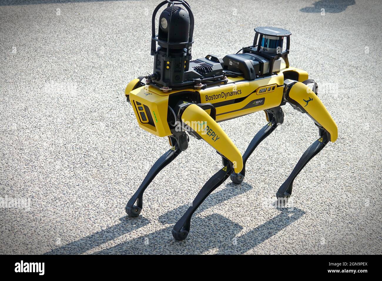 Yellow robot dog, suitable for industrial detection and remote operation. Mini robot guard Spot. Turin, Italy - September 2021 Stock Photo