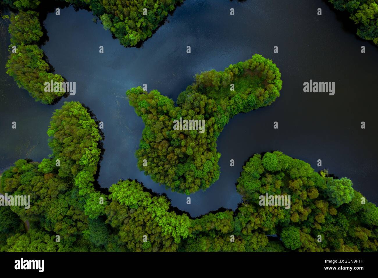 Aerial view of lush green rainforest canopy with tree covered islands surrounded by river water in a tropical Amazon or Thailand environment Stock Photo