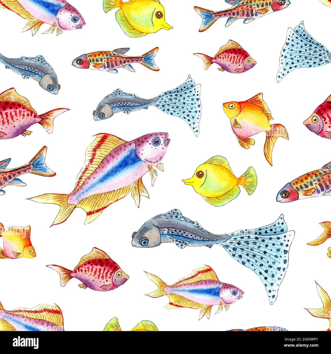 Watercolor illustration pattern small colorful aquarium fish. Seamless repeating marine life print. Isolated on white background. Drawn by hand Stock Photo - Alamy watercolor-illustration-pattern-small-colorful-aquarium-fish-seamless-repeating-marine-life-print-isolated-on-white-background-drawn-by-hand-stock-photo-alamy