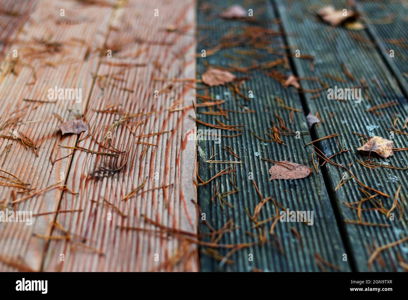 Defocus wooden brown and black textured background with fallen pine needle and dry leaves. Autumn abstract background. Forest outdoor. Out of focus Stock Photo