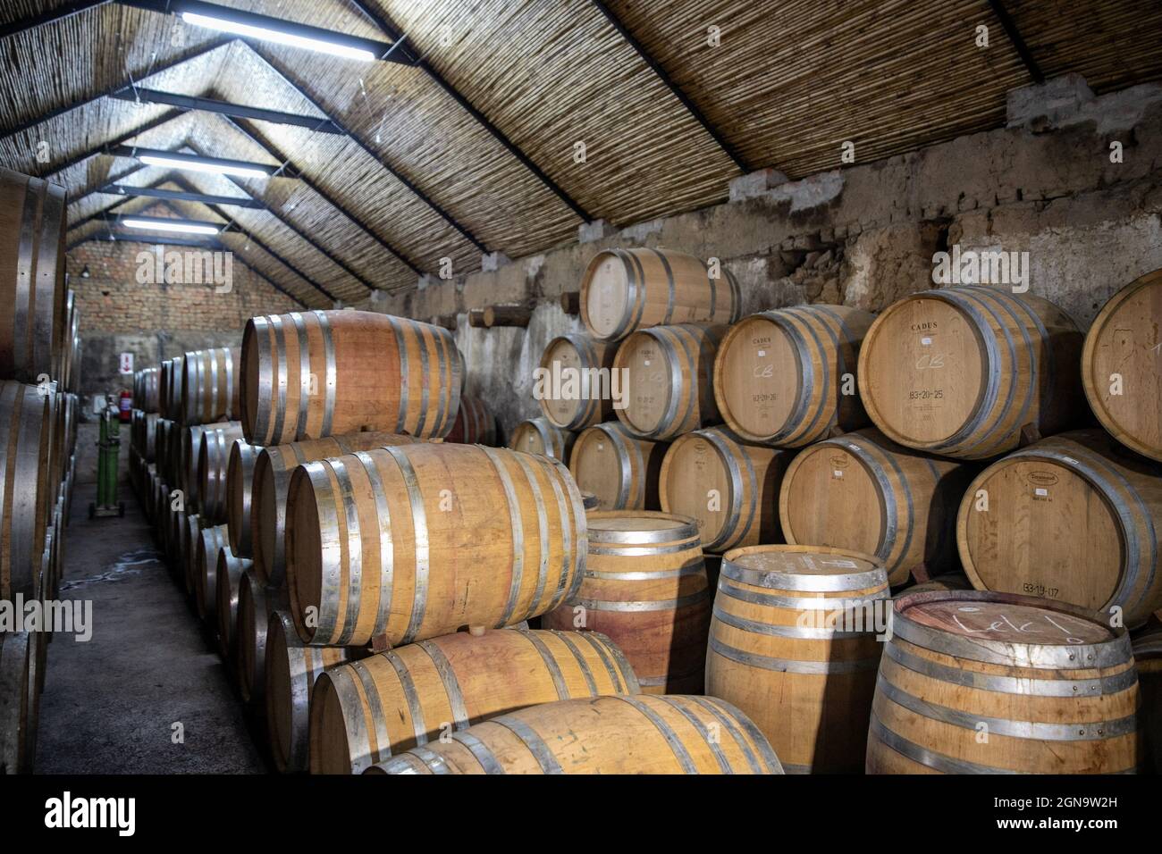 Cape Winelands, South Africa. 21st Sep, 2021. Photo taken on Sept. 21, 2021 shows wine barrels in a wine cellar at Vondeling Wines in Paarl, Cape Winelands, South Africa, on Sept. 21, 2021. With traditional markets in Europe, the South African wine industry is now seeking to export more of its products to a developing market -- China, which has already become a focus market of South Africa. Credit: Lyu Tianran/Xinhua/Alamy Live News Stock Photo