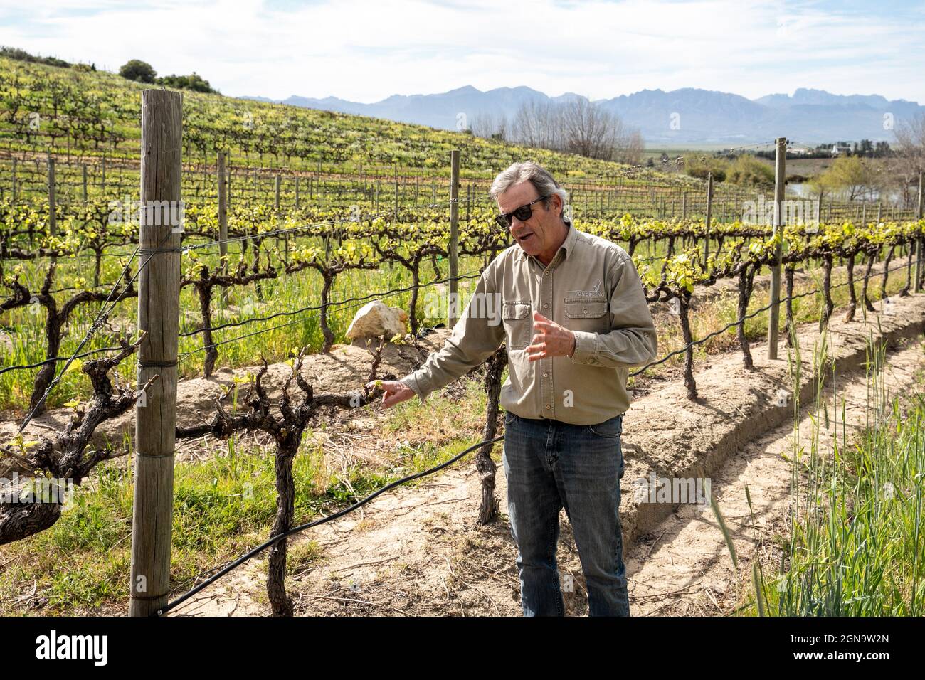 Cape Winelands, South Africa. 21st Sep, 2021. Julian Johnson of Vondeling Wines introduces his vineyard in Paarl, Cape Winelands, South Africa, on Sept. 21, 2021. With traditional markets in Europe, the South African wine industry is now seeking to export more of its products to a developing market -- China, which has already become a focus market of South Africa. Credit: Lyu Tianran/Xinhua/Alamy Live News Stock Photo