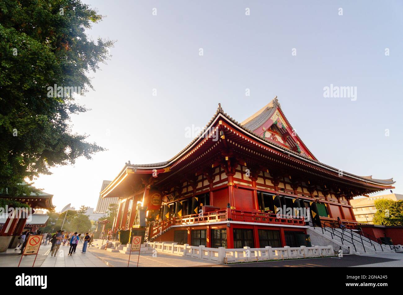 Senso-ji Temple, Tokyo, Traditional, Japanese temple, Architecture, Historic, Culture, Landmark, Iconic Stock Photo
