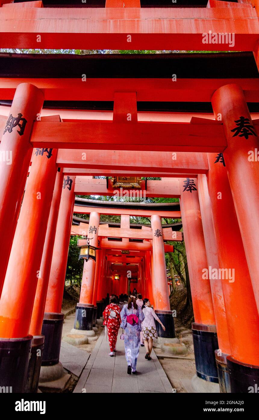 Fushimi Inari Temple and surrounding bamboo forests Stock Photo - Alamy