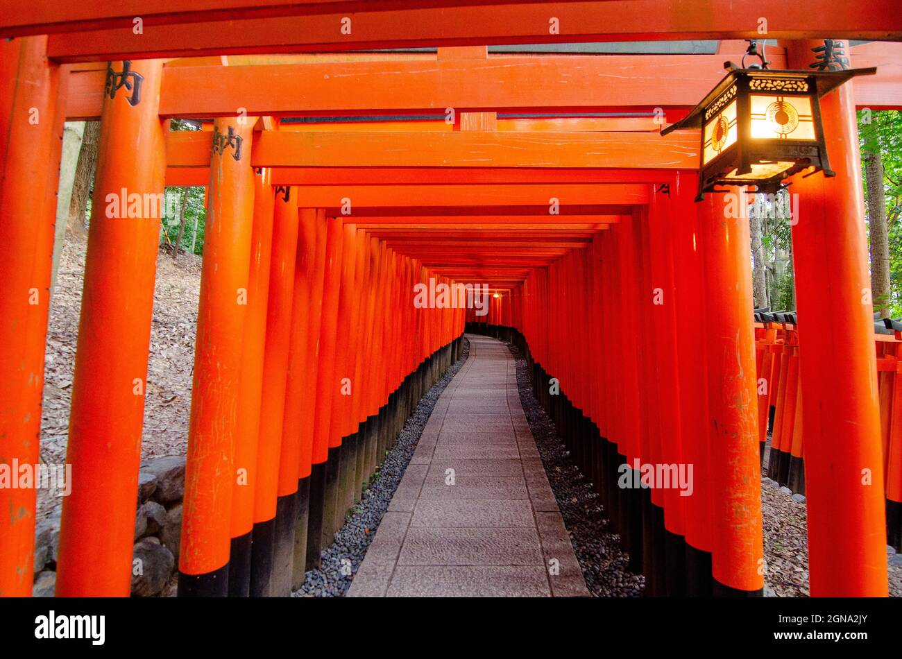 Fushimi Inari Temple and surrounding bamboo forests Stock Photo Alamy
