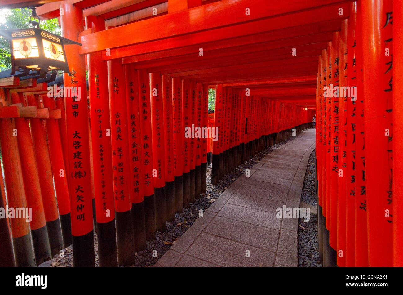 Fushimi Inari Temple and surrounding bamboo forests Stock Photo - Alamy