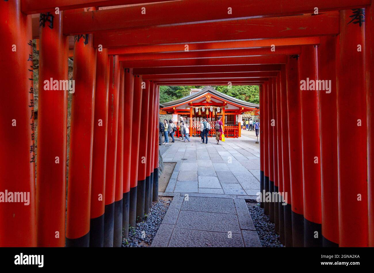 Fushimi Inari Temple and surrounding bamboo forests Stock Photo - Alamy