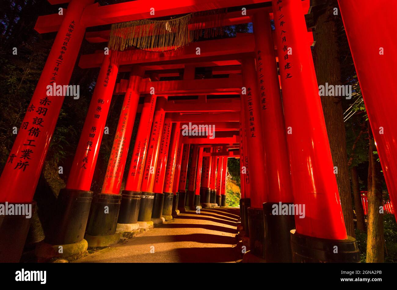 Fushimi Inari Temple and surrounding bamboo forests Stock Photo - Alamy