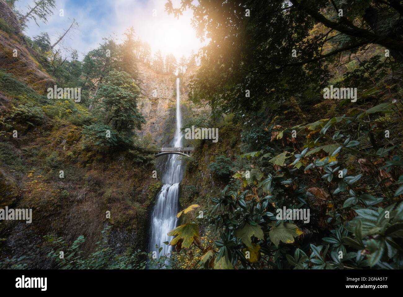 Magnificent and beautiful Multnomah Falls waterfall tourist travel destination in the lush forest of Oregon's Columbia River Gorge Stock Photo