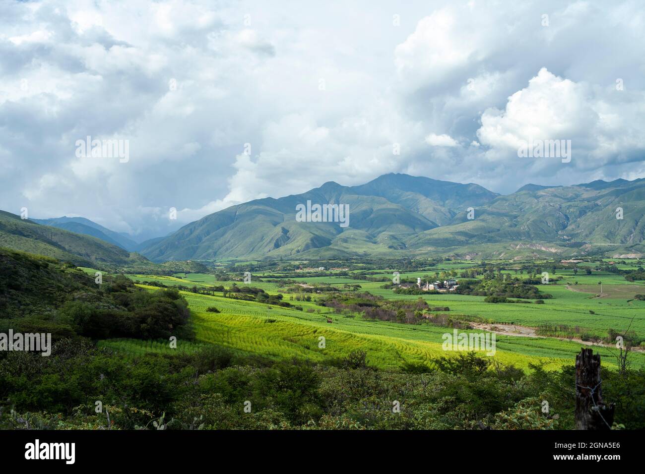 landscape of sugar cane plantations green mountains in loja ecuador Stock Photo