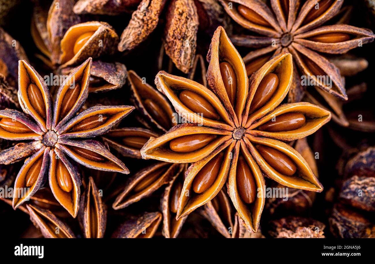 Chinese star anise close up background. Dried star anise spice fruits