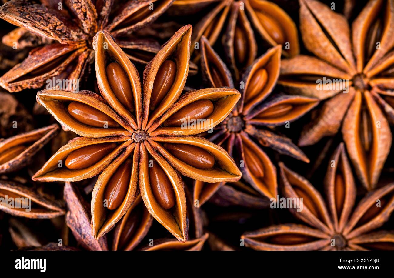 Chinese star anise close up background. Dried star anise spice fruits