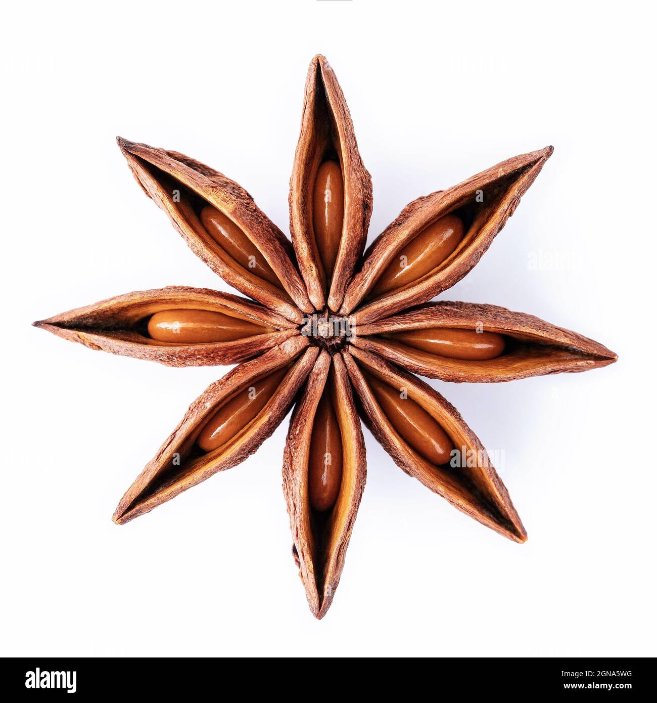 Single Chinese star anise isolated on white background Stock Photo Alamy
