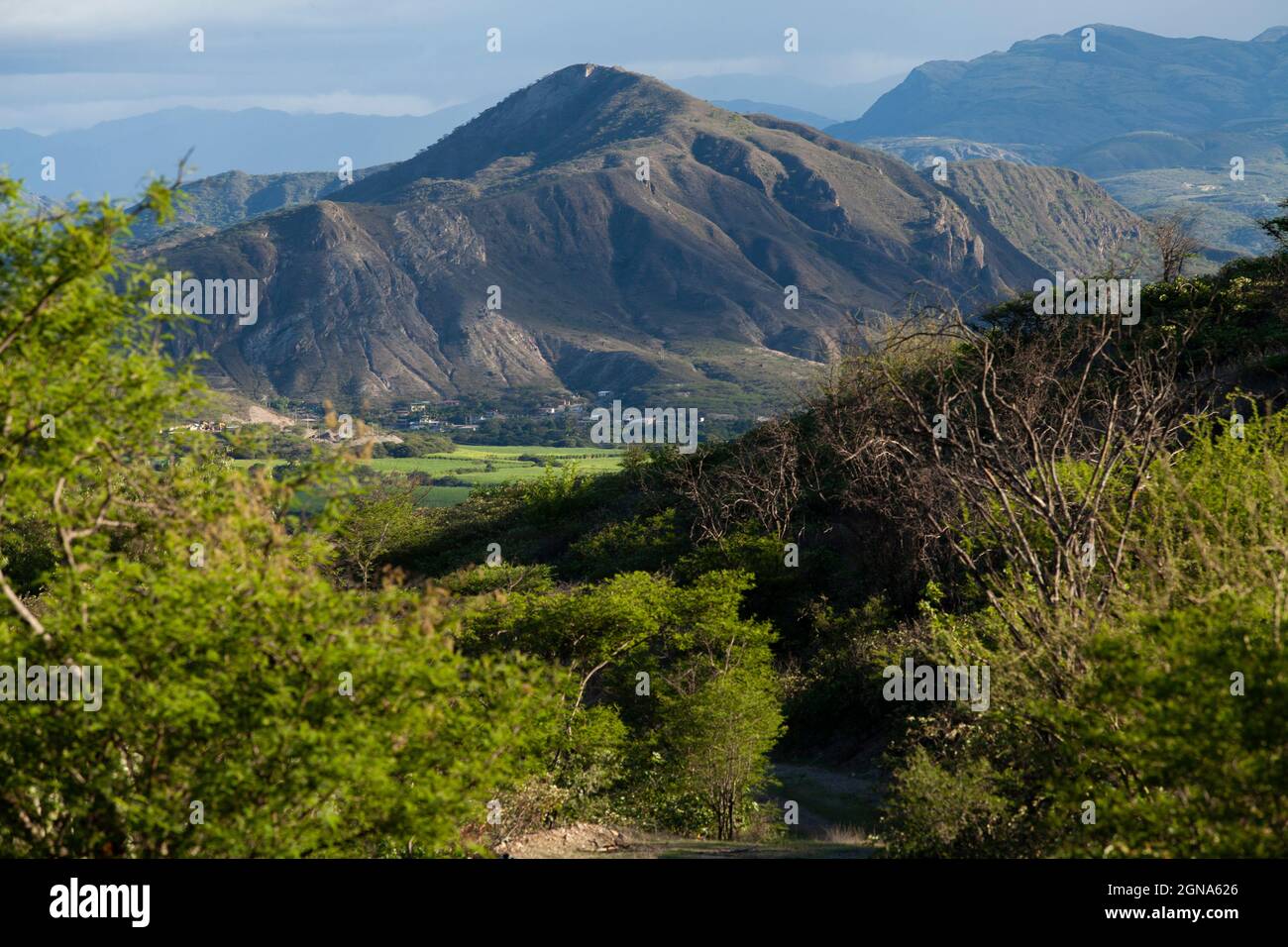 landscape of dried andes mountains in loja ecuador Stock Photo