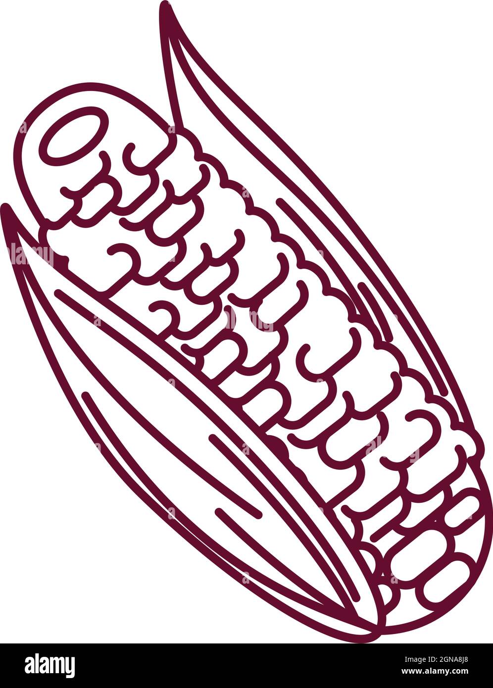 corn cob food Stock Vector Image & Art - Alamy