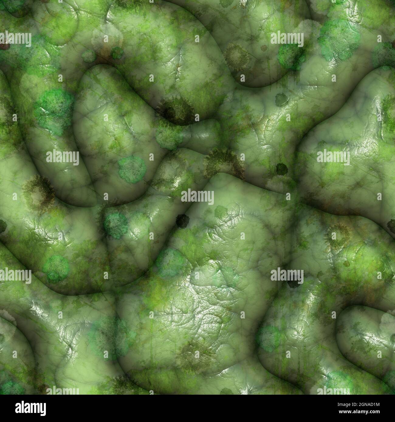 Rotten mouldy green zombie brains 3D illustration Stock Photo