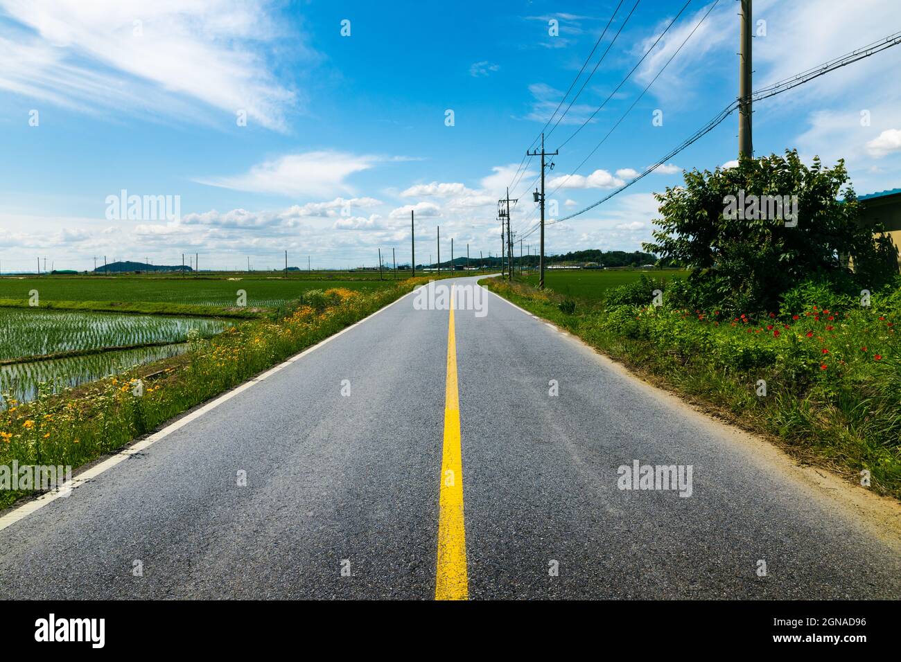 Rural asphalt road through the countryside on a summer day. Ganghwa-gun, Incheon, South Korea Stock Photo