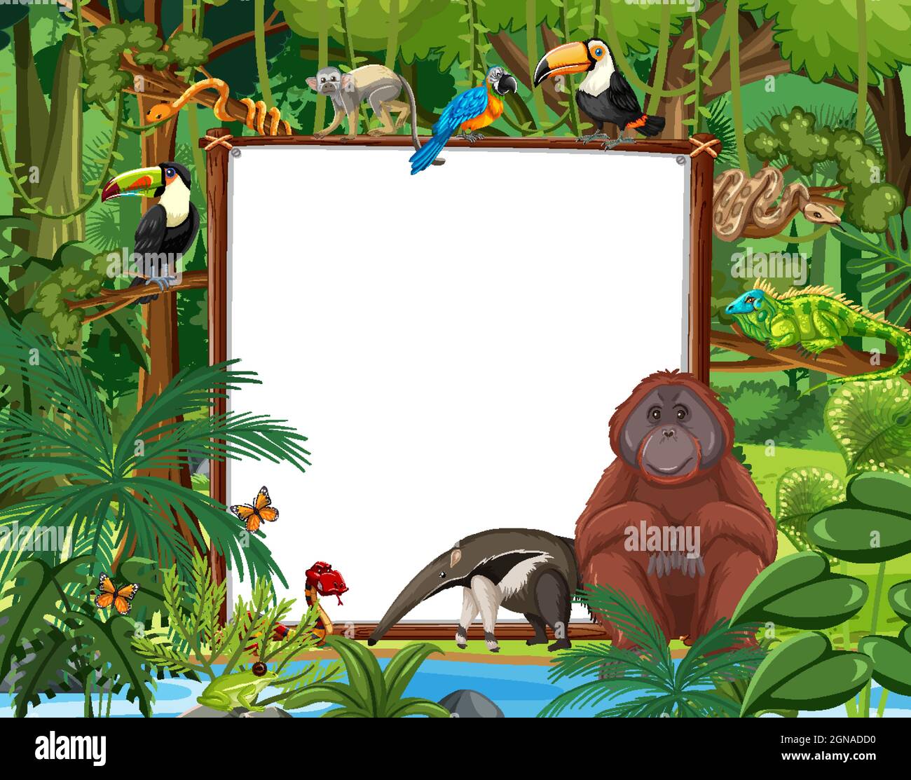 Blank banner in the rainforest scene with wild animals illustration ...