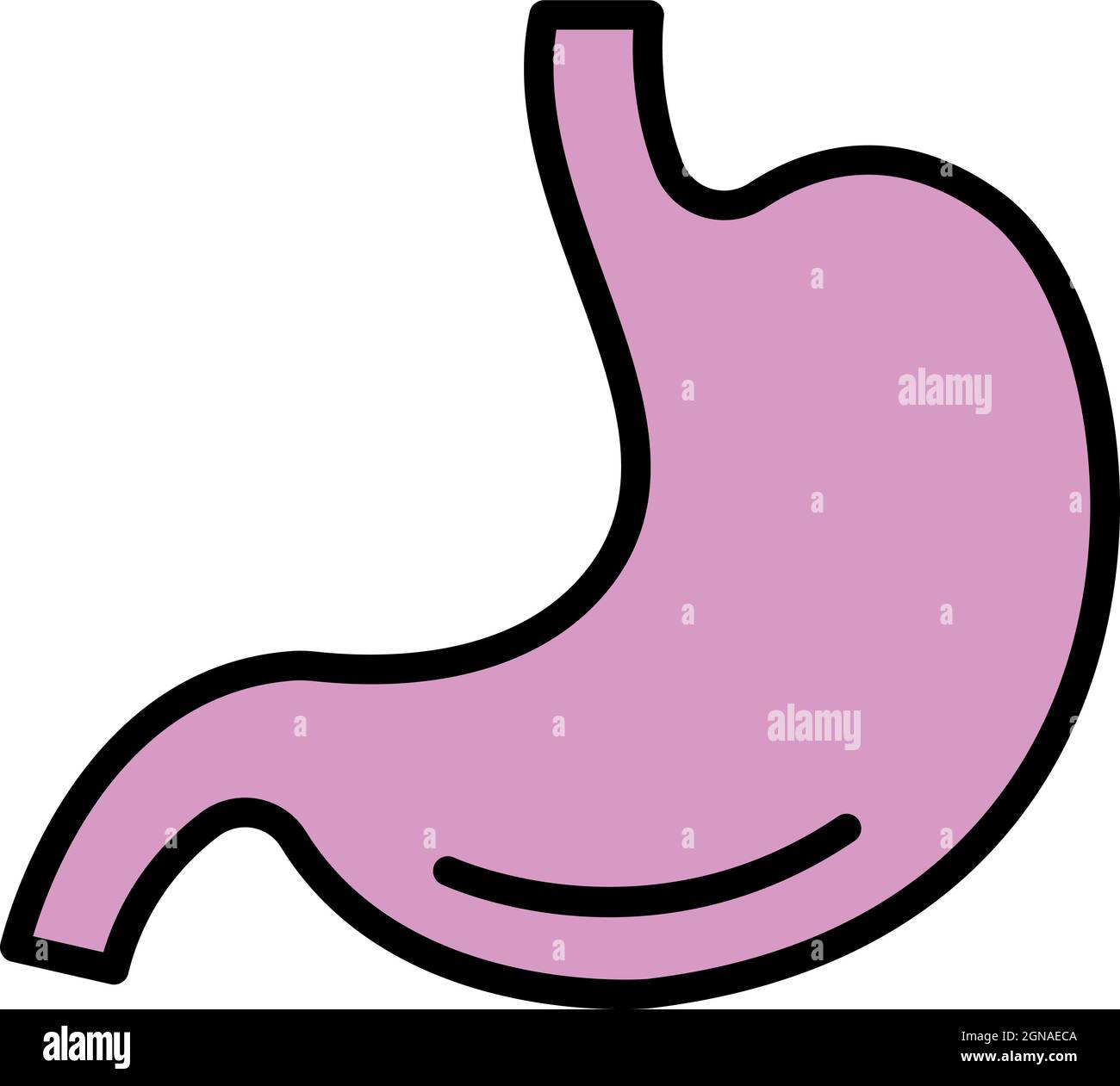 Stomach icon. Outline stomach vector icon color flat isolated Stock ...