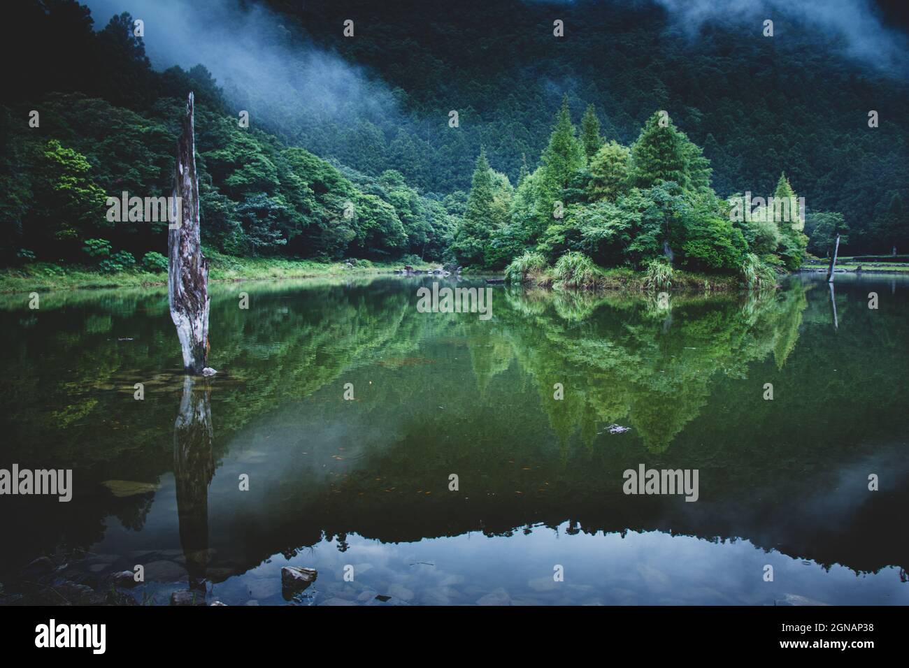 reflection of trees in the lake Stock Photo - Alamy
