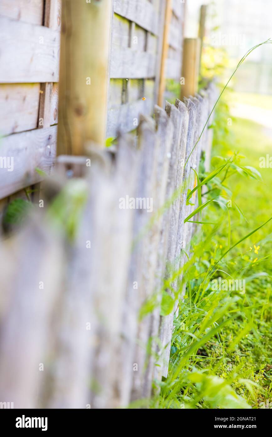 Old wooden fence in a garden Stock Photo - Alamy