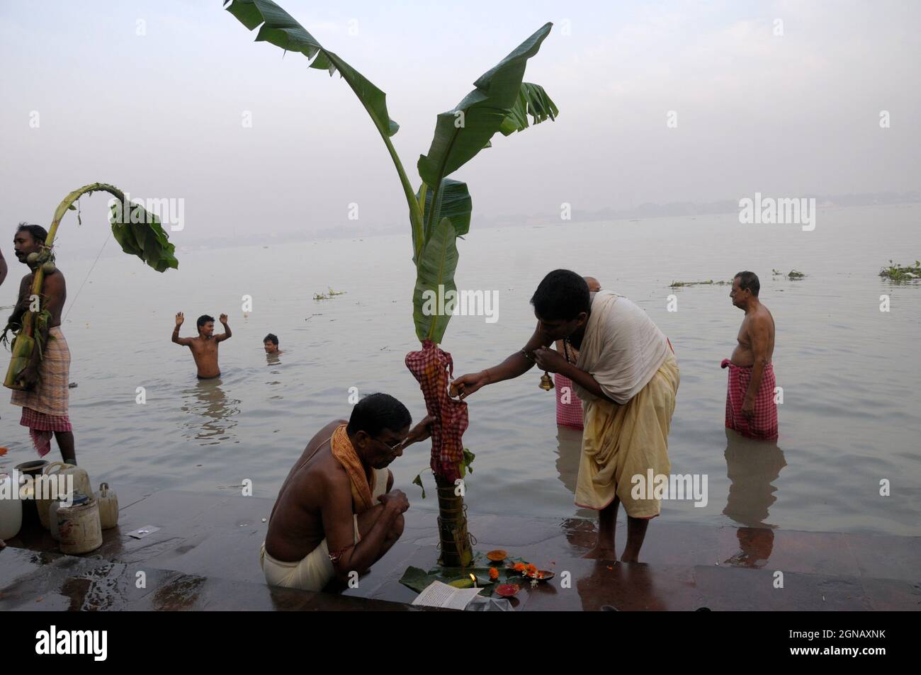 A Banana tree being worshipped to commence Durga Puja on the banks of river Ganga also known as Hoogly, in Kolkata. Photo by Sondeep Shankar Stock Photo