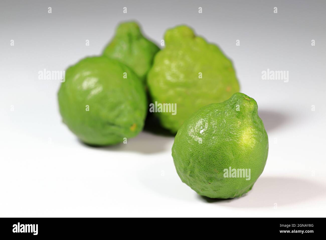 Kaffir lime fruits hi-res stock photography and images - Alamy